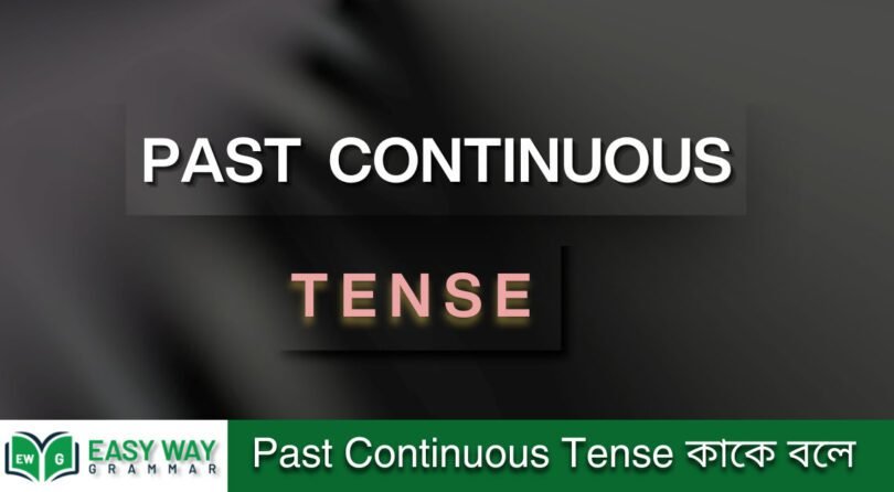 Past Continuous Tense কাকে বলে | Way to know- ( জানার উপায় )