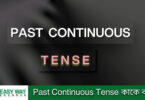 Past Continuous Tense কাকে বলে