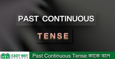 Past Continuous Tense কাকে বলে