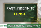 Past Indefinite Tense কাকে বলে