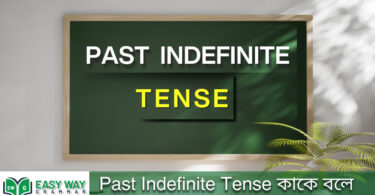 Past Indefinite Tense কাকে বলে