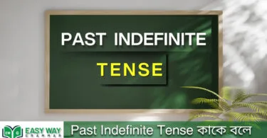 Past Indefinite Tense কাকে বলে