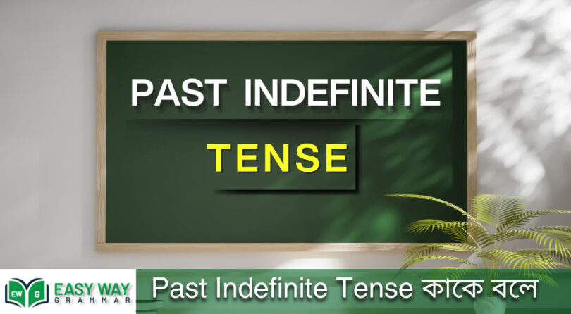 Past Indefinite Tense কাকে বলে