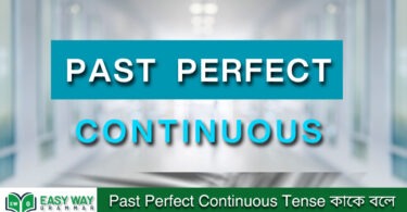 Past Perfect Continuous Tense কাকে বলে