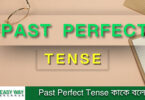 Past Perfect Tense কাকে বলে