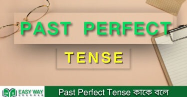 Past Perfect Tense কাকে বলে