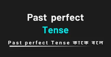 Past Perfect Tense কাকে বলে ও চেনার