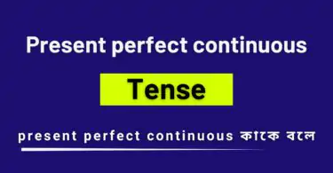 Present Perfect Continuous tense কাকে বলে