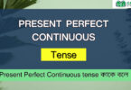 Present Perfect Continuous tense কাকে বলে