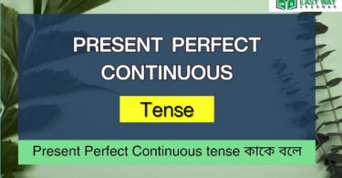 Present Perfect Continuous tense কাকে বলে