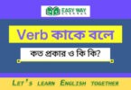 Verb (ক্রিয়া) কাকে বলে? প্রক