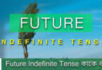 Future Indefinite Tense কাকে বলে