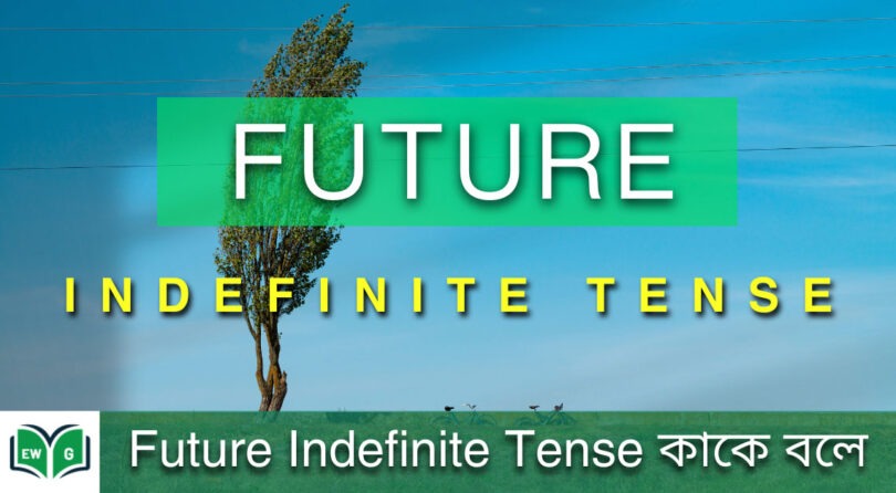 Future Indefinite Tense কাকে বলে