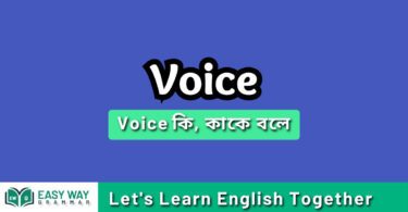 Voice কাকে বলে? Voice Changing এর প্রক