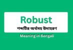 Robust meaning in bengali